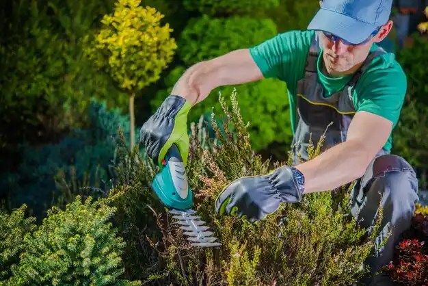 landscaping services Pandora